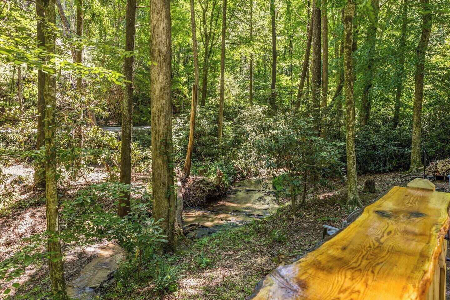Un área boscosa con un puente de madera y un arroyo.