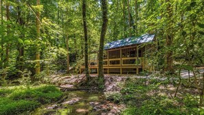 Une cabane au cœur d’une forêt, près d’un ruisseau, entourée d’un feuillage dense.
