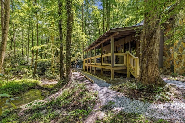 Property grounds - Creekfront Escape •Firepit •Hiking • Pet Friendly (Blue Ridge)
