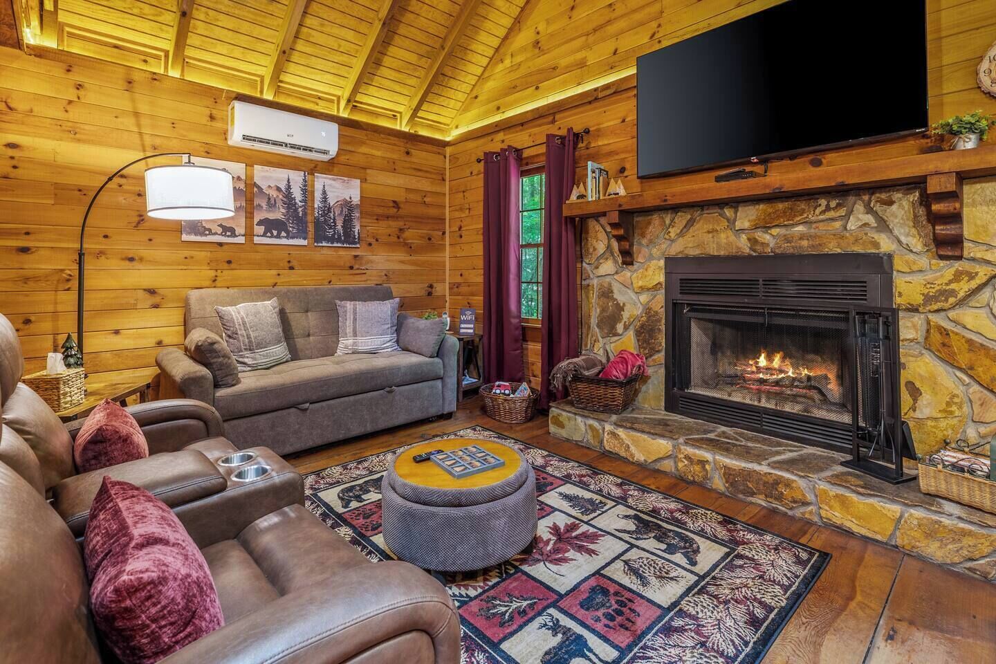 Smart TV, fireplace, DVD player, books