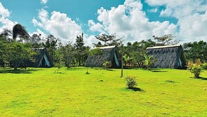 Une zone herbeuse avec des constructions à toits de chaume, probablement un terrain de camping ou un écolodge.