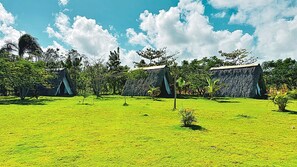 A grassy area with thatched-roof structures, likely a campsite or eco-lodge.