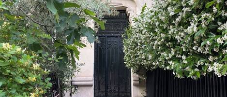 A narrow pathway leading to a black gate, flanked by greenery and a brick wall.