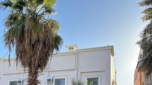 A building with a white facade, multiple windows, and a palm tree in the foreground. - OrbitNet-Al Khatim (Madina)