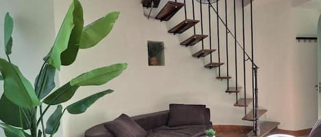 Televisión y libros