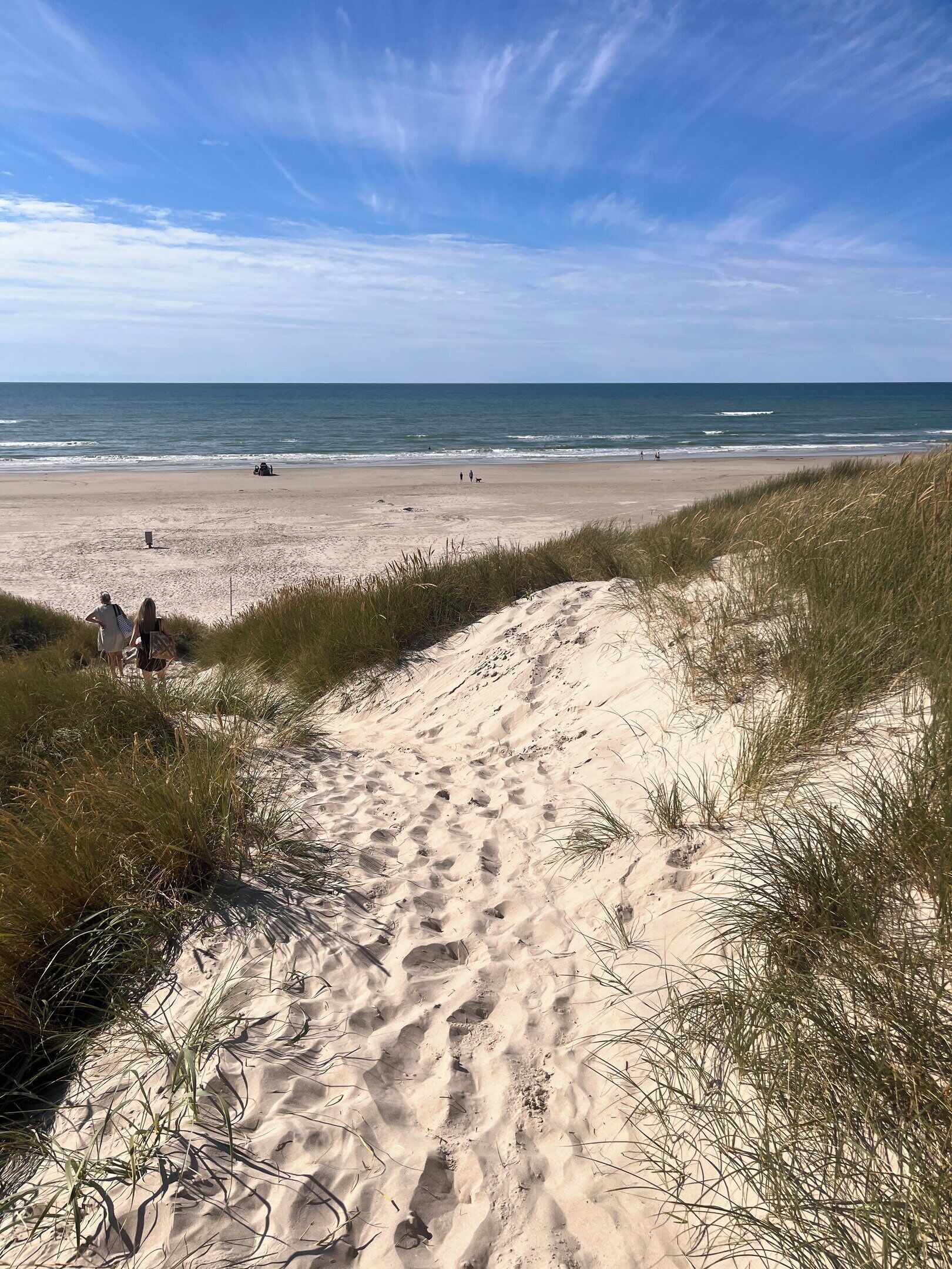 A sandy beach with a clear sky and ocean in the background.