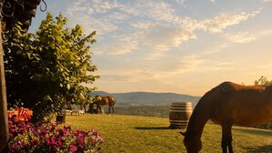 A grassy outdoor area with a horse grazing, a wooden barrel, and a flower pot.