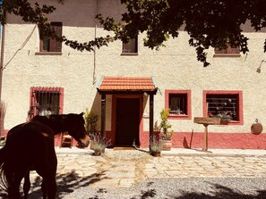 Exterior - A farmhouse nestled in the picturesque hills of Upper Monferrato. (Liguria)
