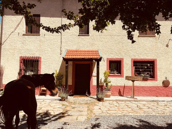 A building with a red-tiled roof, a stone-paved entrance, and a horse in the foreground.