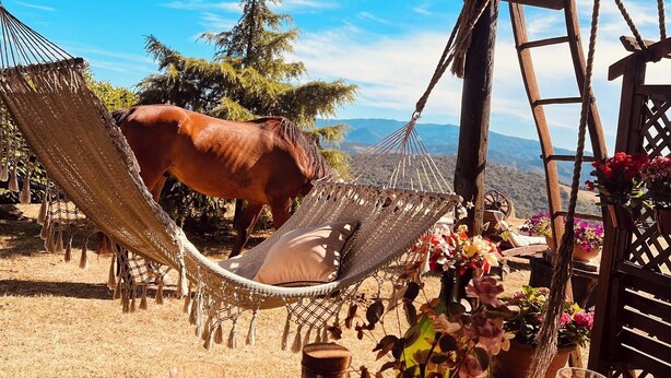 A hammock chair, dining table, and a bottle of water.