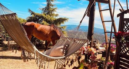 Cascina Puvie <> nestled in the picturesque hills of Upper Monferrato.