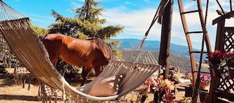 Cascina Puvie <> nestled in the picturesque hills of Upper Monferrato.