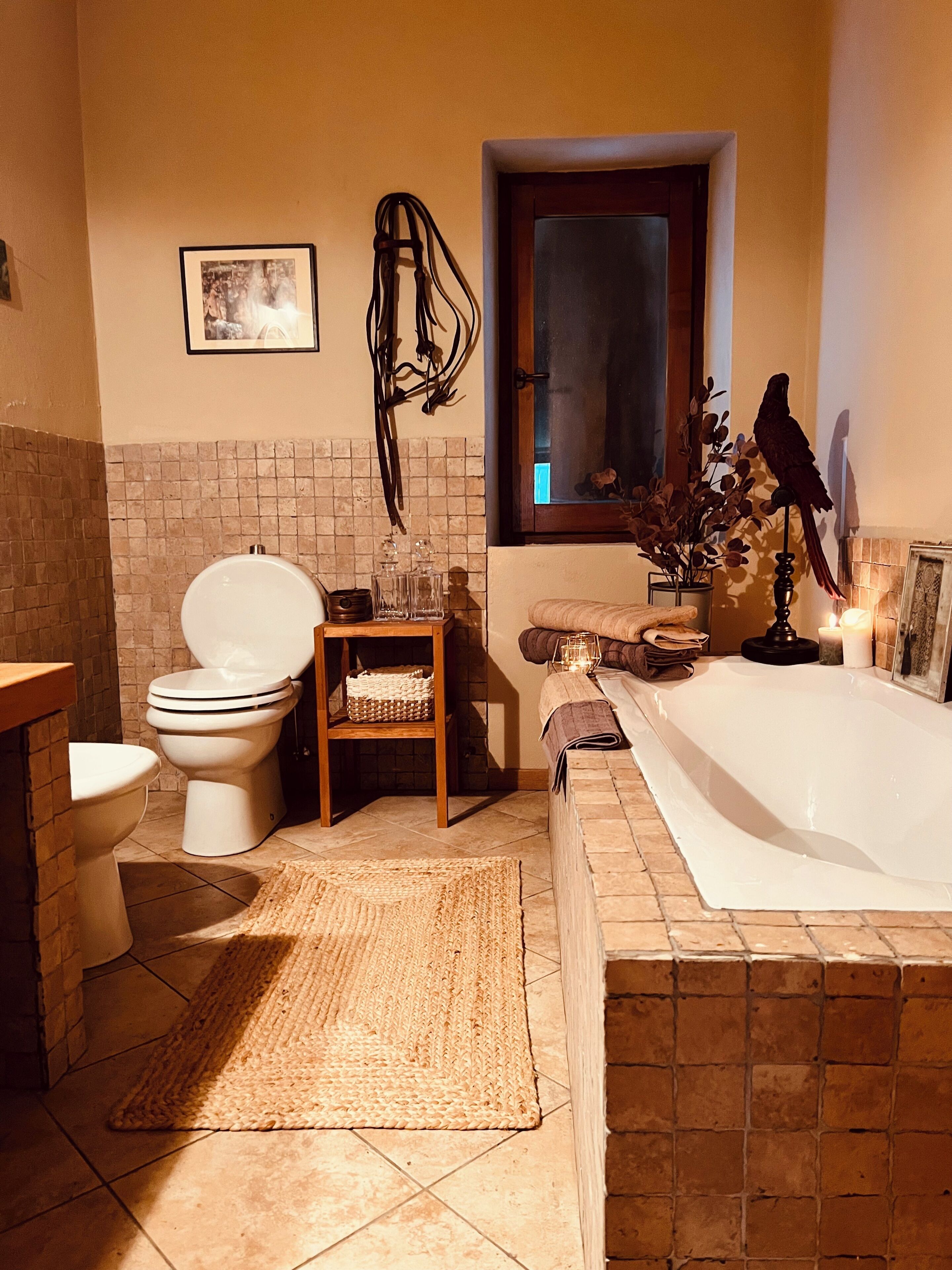 Shower, hair dryer, bidet, towels