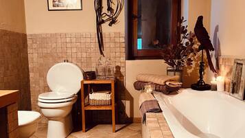 Shower, hair dryer, bidet, towels