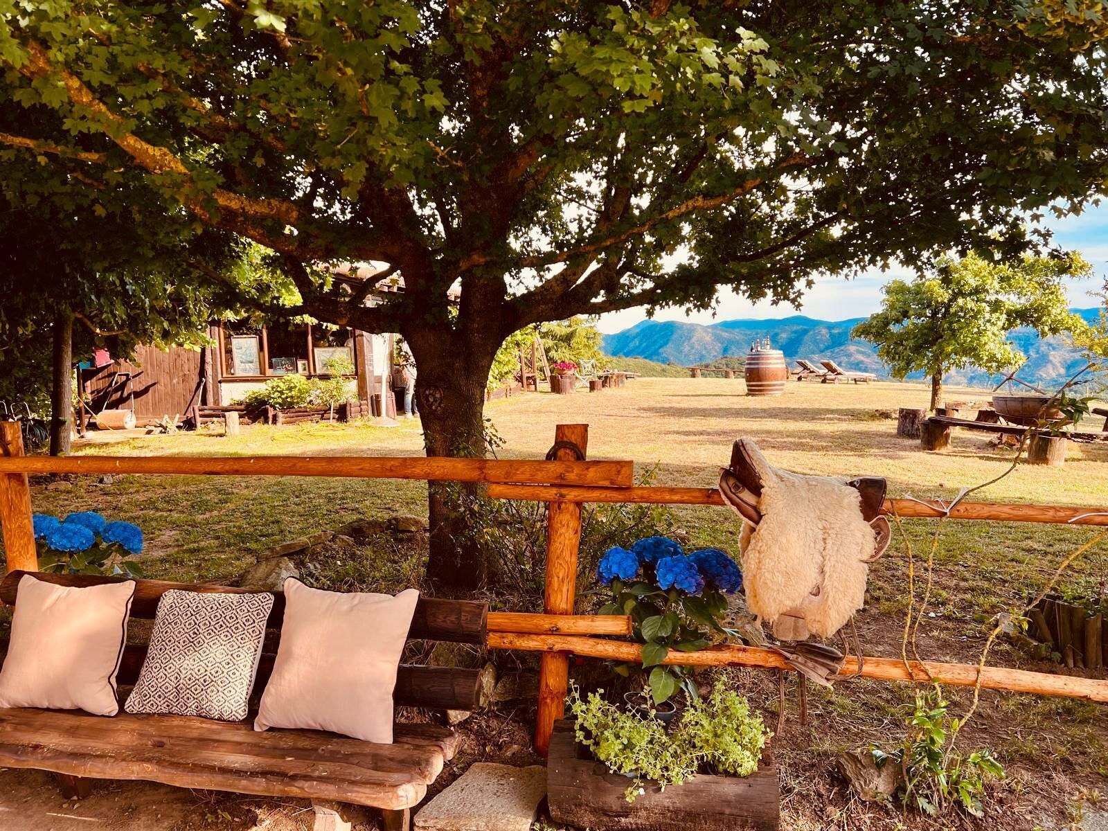 Ein rustikaler Sitzbereich im Freien mit einer Holzbank und Kissen, umgeben von Grünpflanzen und einem großen Baum.