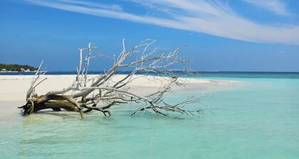 Anam Villa maldives