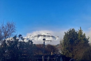 Miscelánea