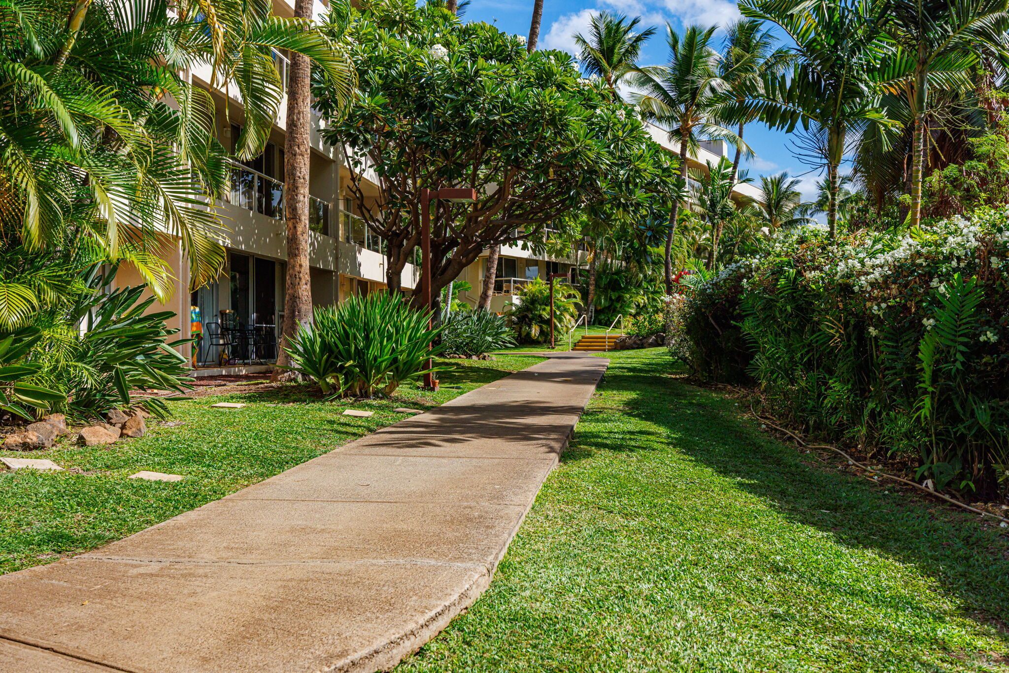 Luxury Condo, Garden View, Beachside | Property grounds