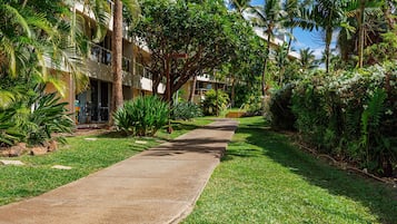 Luxury Condo, Garden View, Beachside | Property grounds