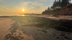 Una playa con rocas y arena, un atardecer y una zona boscosa.