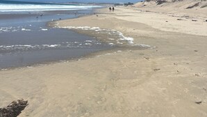 Ein Strand mit blauem Himmel, ruhigem Wasser und ein paar Spaziergängern.