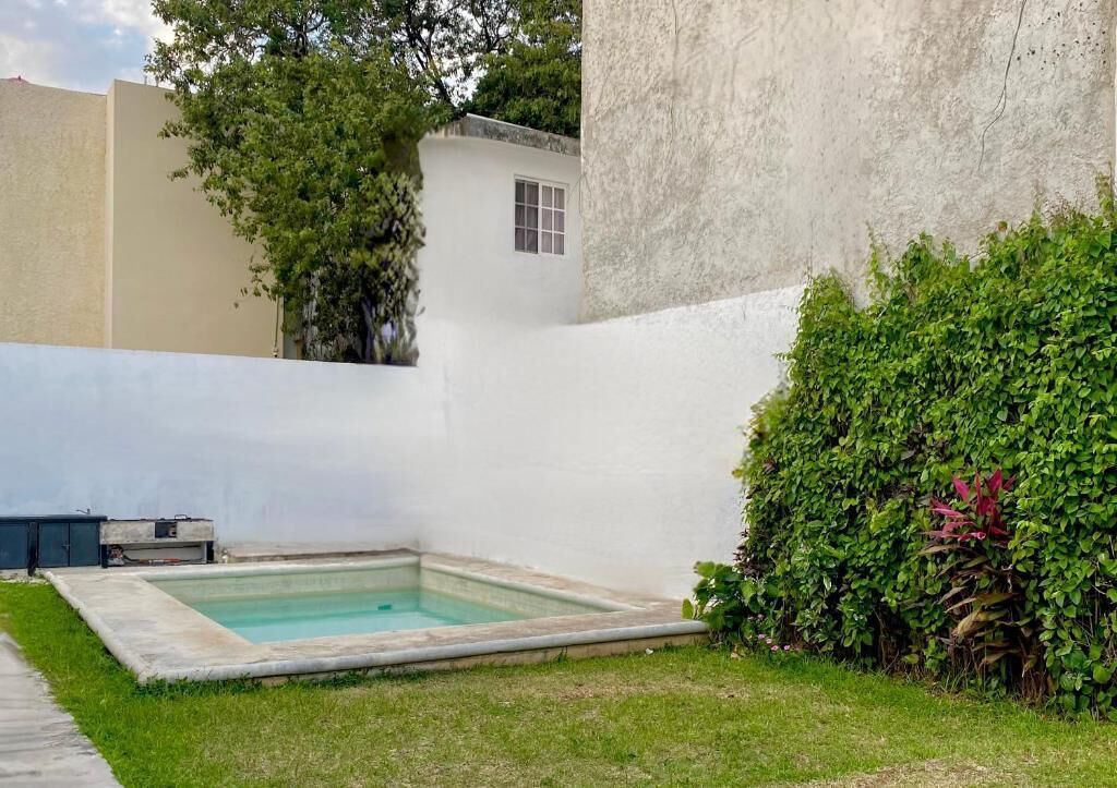 A swimming pool surrounded by a white wall, a small window, and lush greenery.