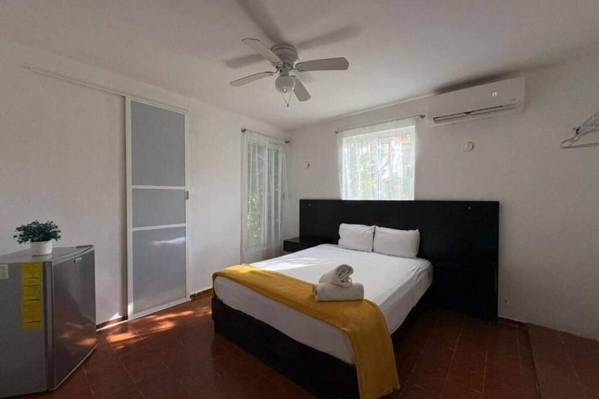 Une chambre à coucher avec un lit, un ventilateur de plafond, une fenêtre et une petite table sur laquelle est posée une plante.