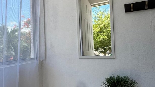 A room with a window, a mirror, a seahorse decoration, and a potted plant. - Casa Balam Cayo Lobo (Cancún)