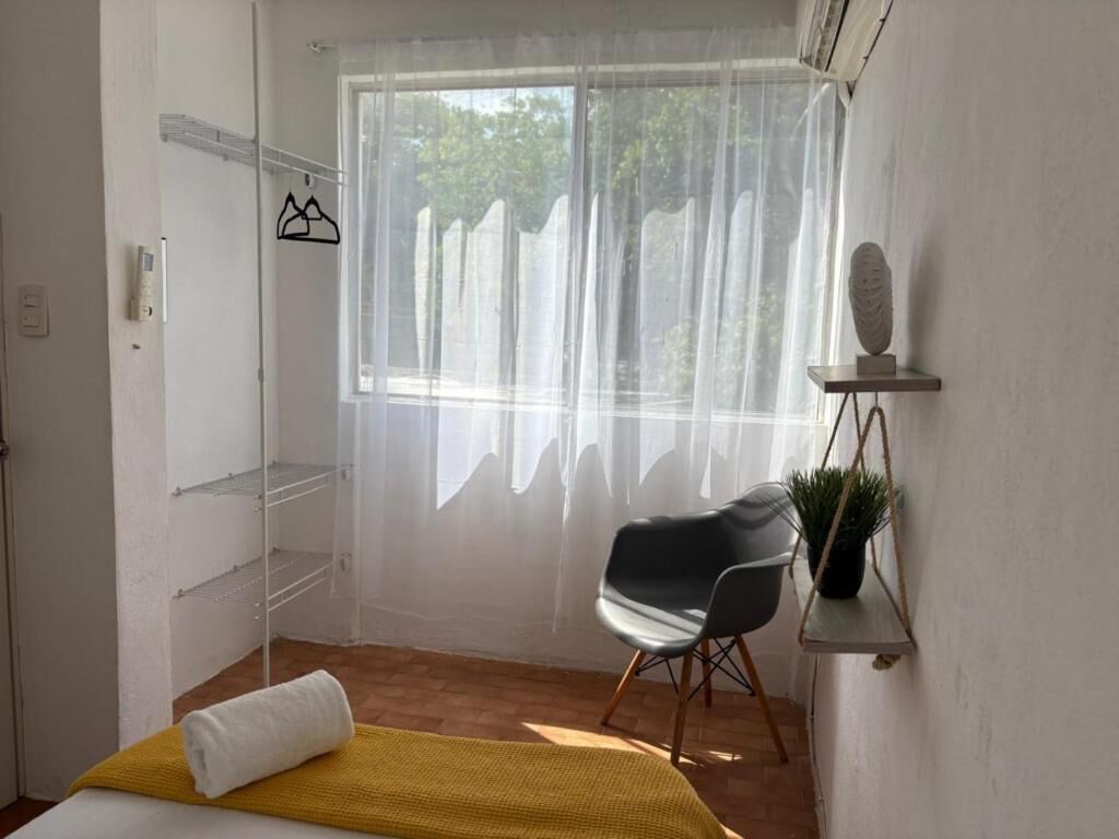 A room with a bed, a chair, a window with sheer curtains, a shelf with a plant, and a wall-mounted towel rack.