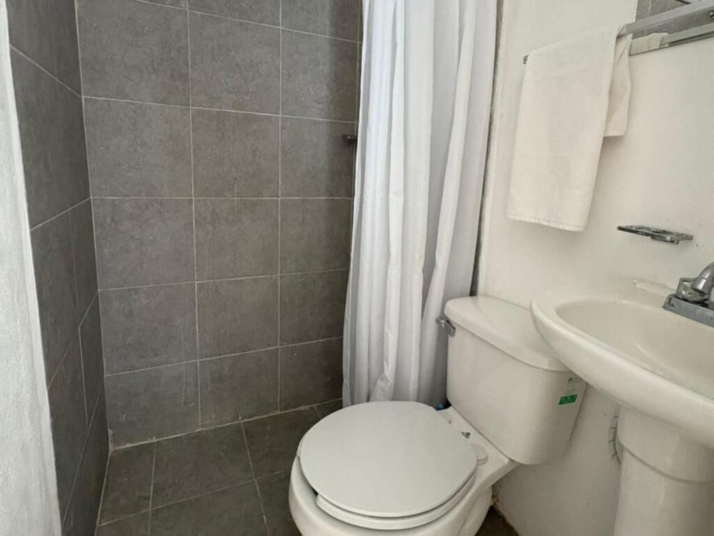 Departamento estándar, patio, vista al jardín | Baño | Regadera, toallas, papel de baño 