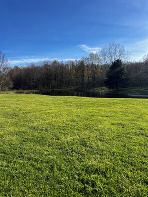 Een grasveld met een meer en bomen op de achtergrond.