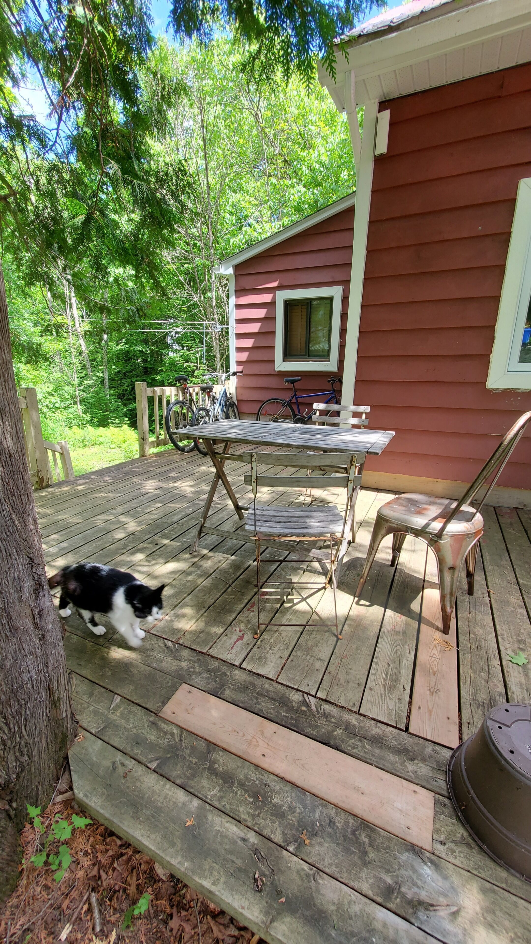 A wooden deck with a metal table and chairs, a bicycle, and a cat.