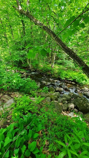 Miscellaneous - Cabin by the stream and near the trails around Lake Millette (Sainte-Adèle)