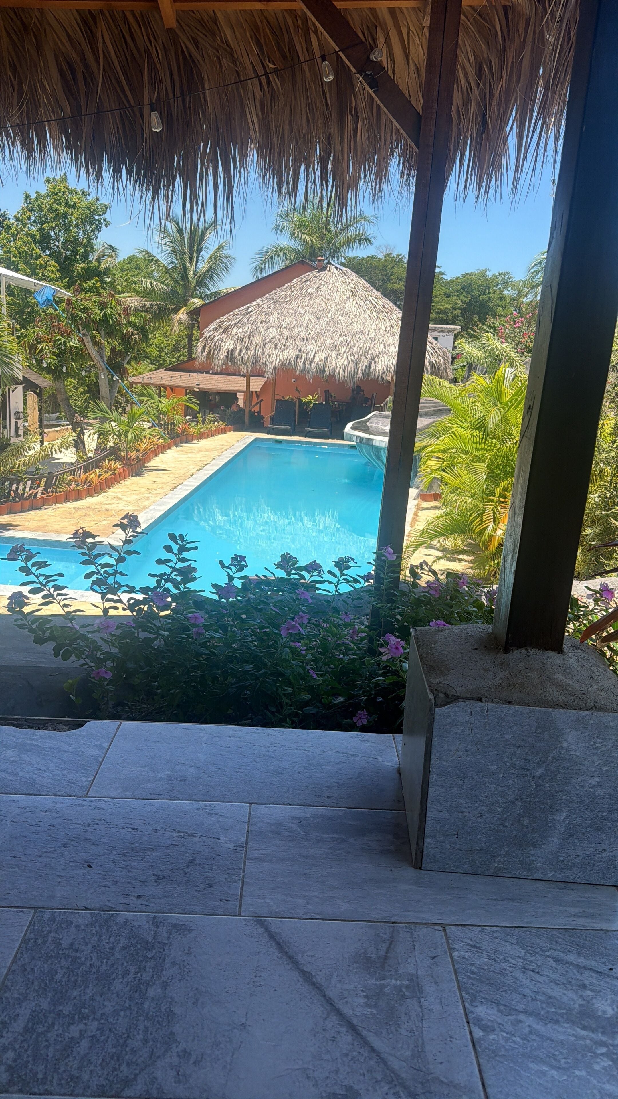 Bangalô básico, vista para o jardim | Piscina | Piscina externa