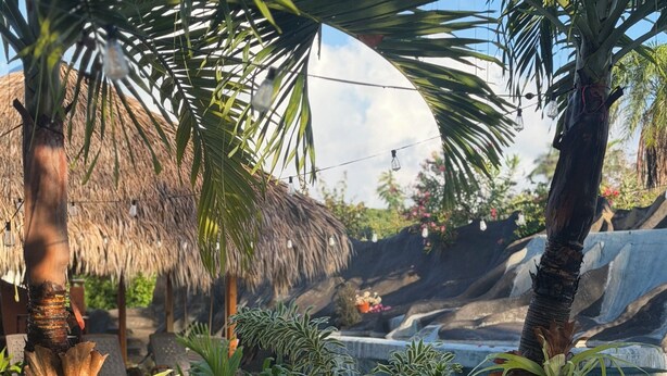 Un jardín tropical con piscina, palmeras y una estructura con techo de paja.