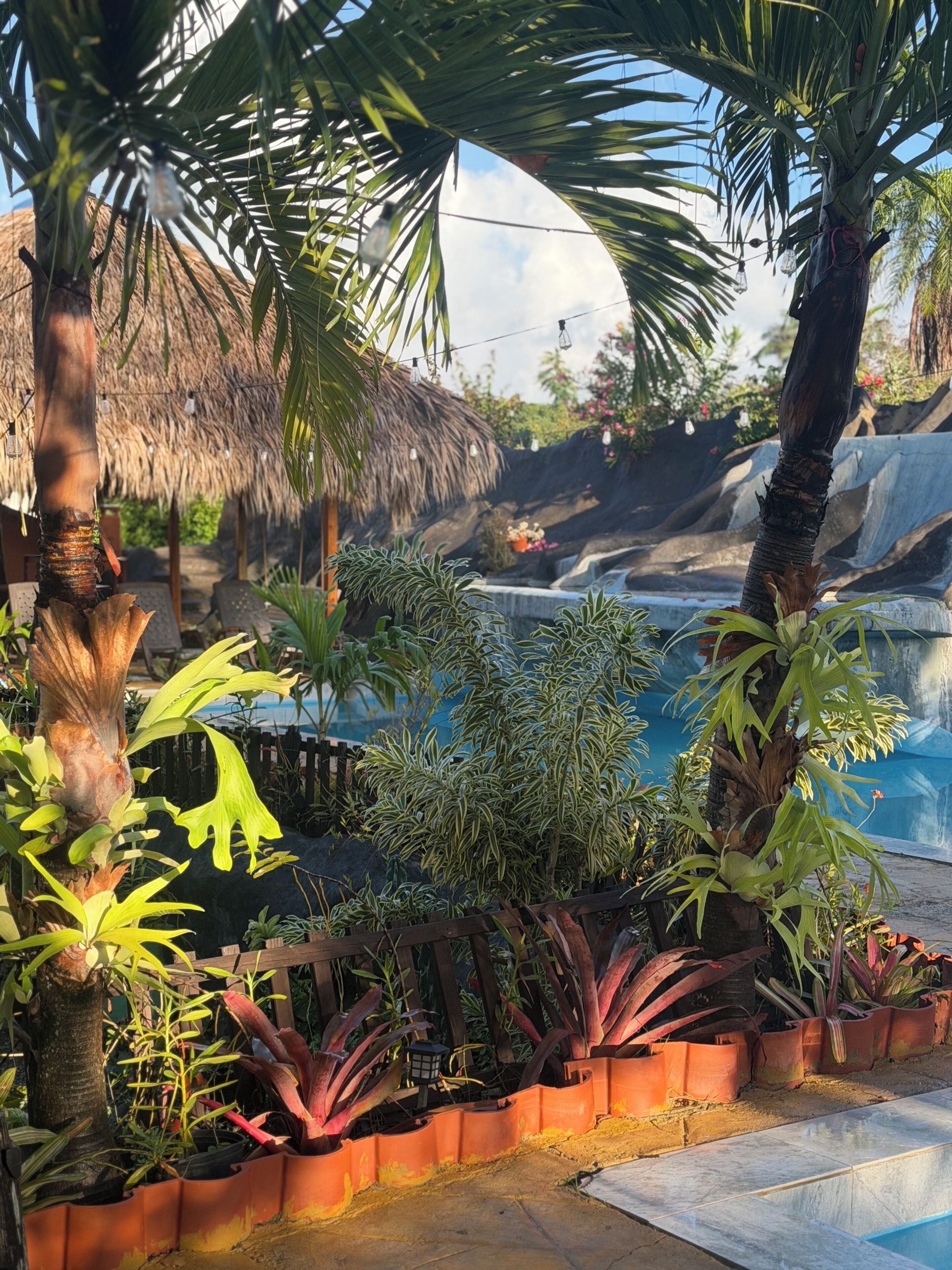 Habitación clásica doble, vistas a la colina | Jardines del alojamiento
