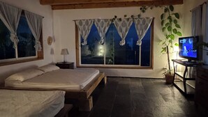 Una habitación con una cama, televisión, ventana con cortinas, una planta y suelo de piedra.