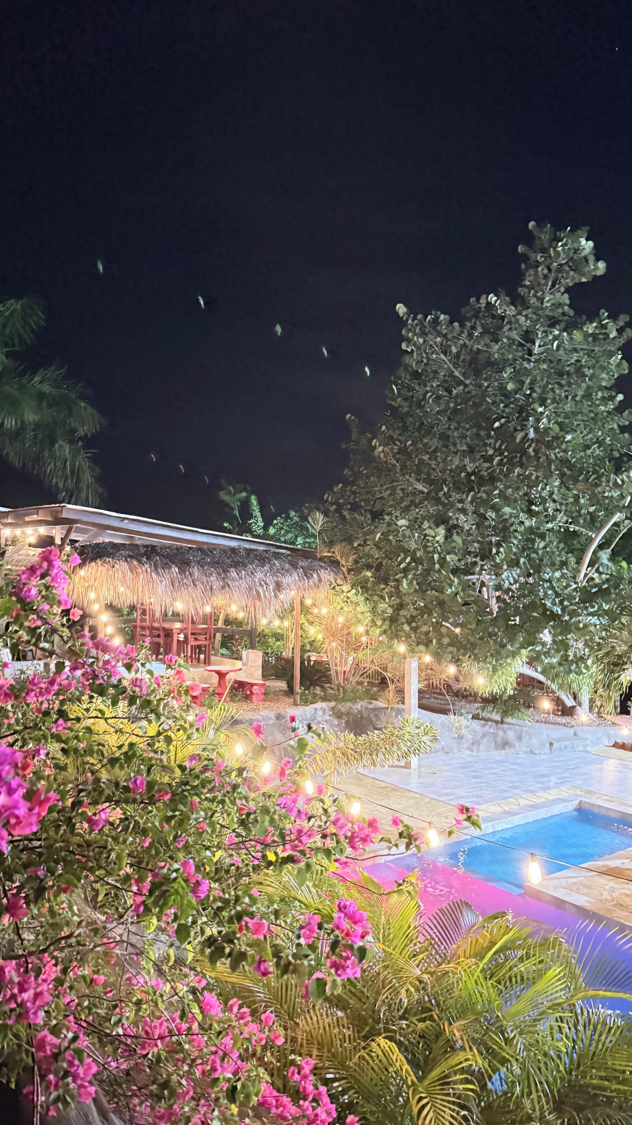 Uma área de piscina com estrutura de telhado de palha, rodeada por vegetação exuberante e plantas floridas.