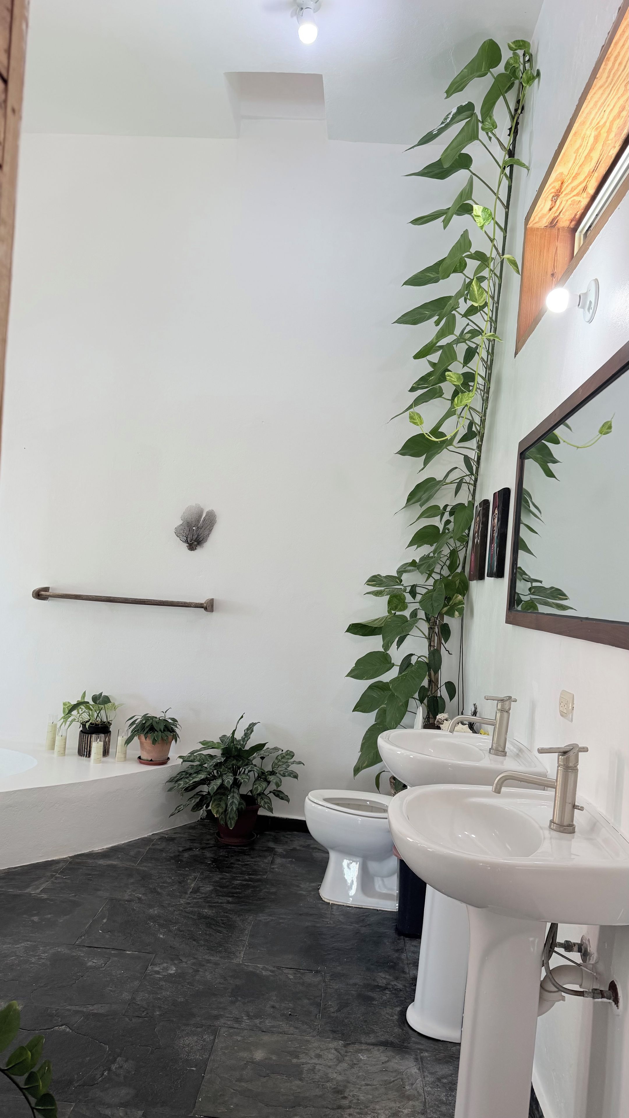 Une salle de bain avec une baignoire, deux lavabos, des toilettes et plusieurs plantes en pot.