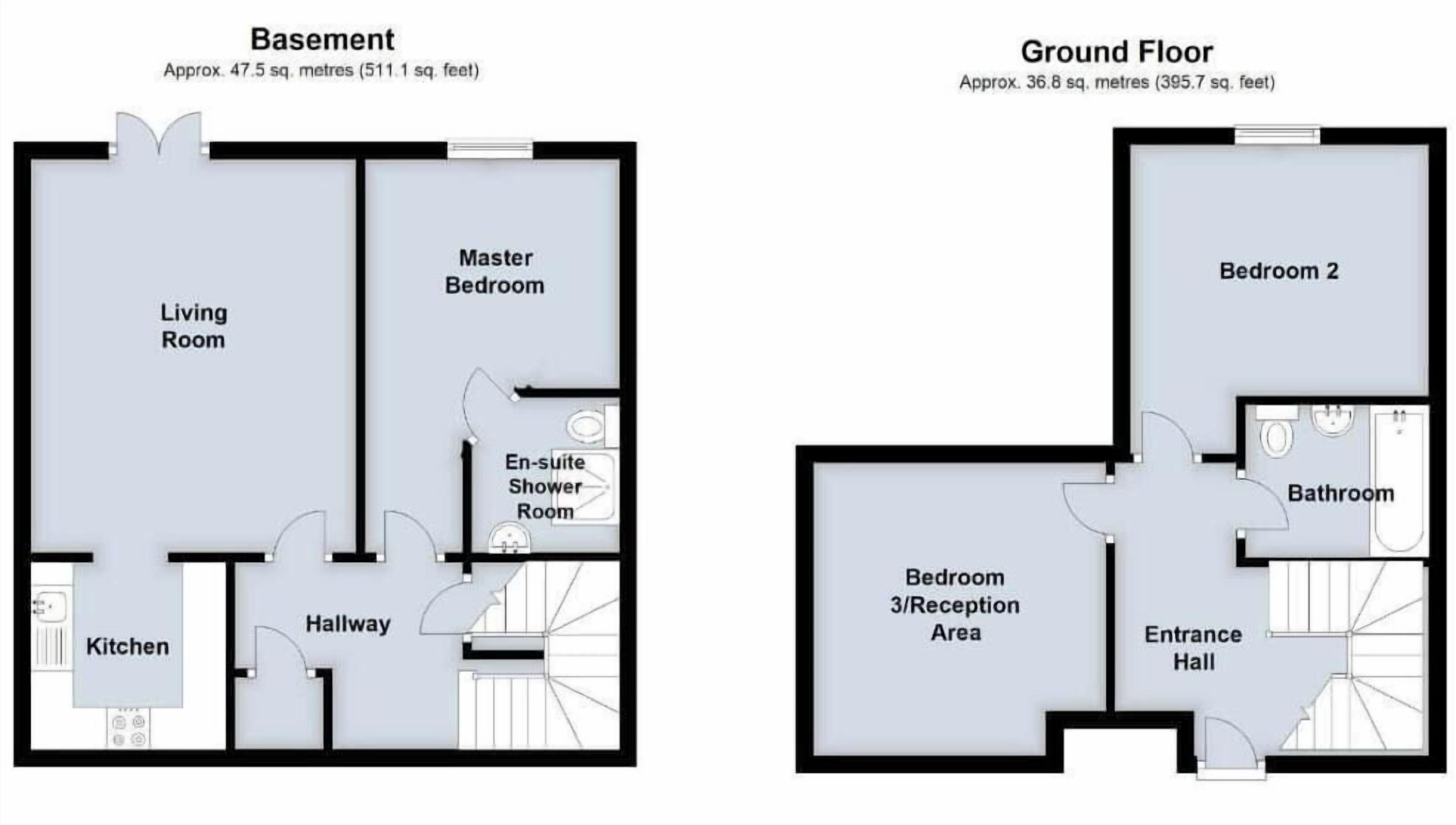 A floor plan of a house with a basement and ground floor, including a living room, kitchen, master bedroom, en-suite shower room, hallway, entrance hall, and bathroom.