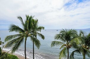 Une plage bordée de palmiers, avec vue sur l’océan.