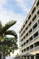 Un hôtel à plusieurs étages, doté de balcons, avec un palmier au premier plan.