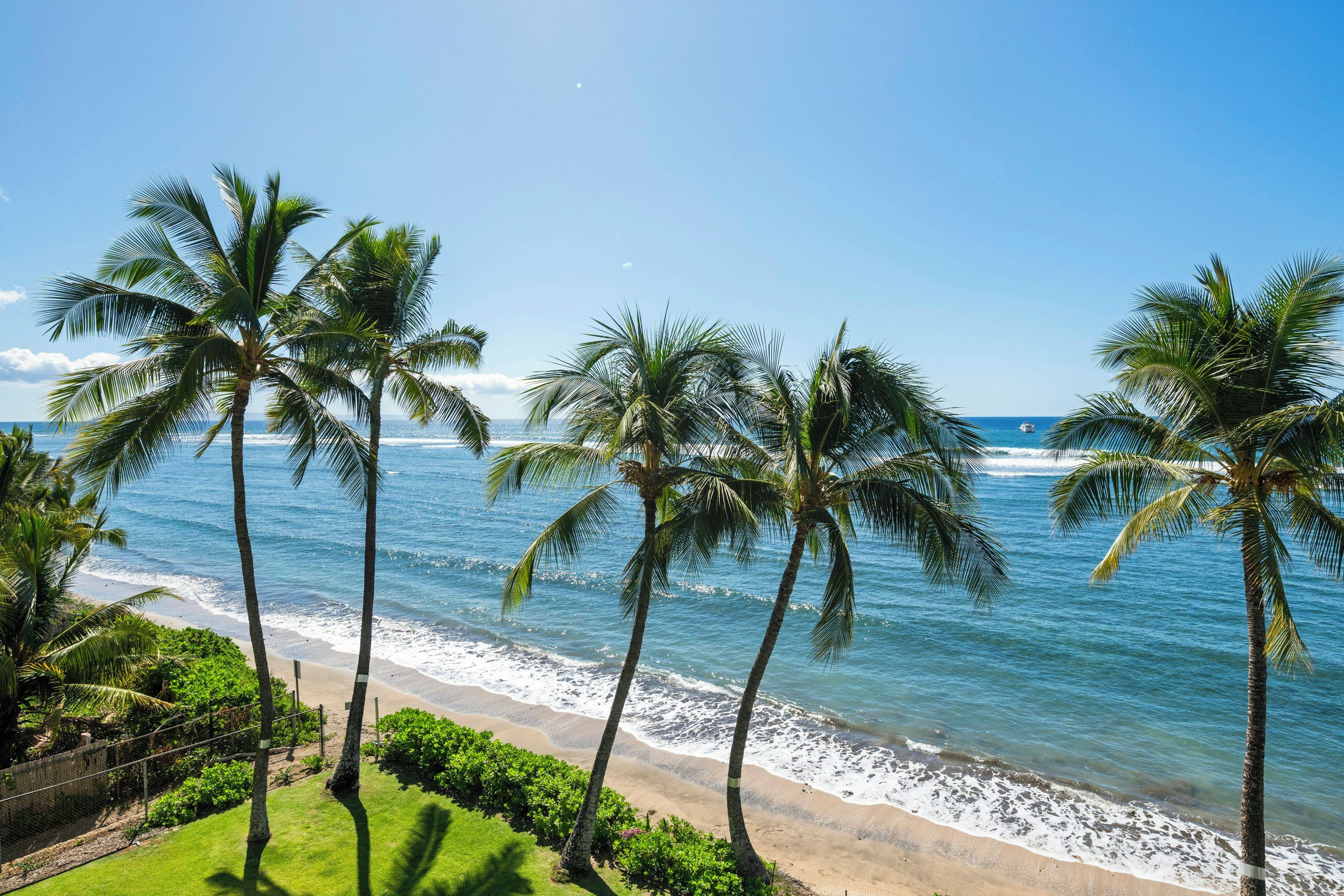 A beach with palm trees and ocean waves.