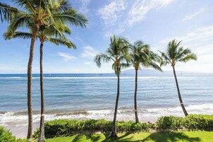 Una playa con palmeras y el océano.