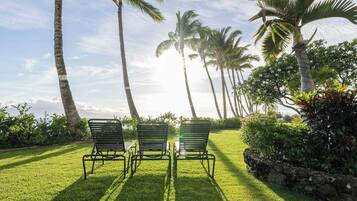 A grassy area with three metal chairs facing a row of palm trees under a clear sky.