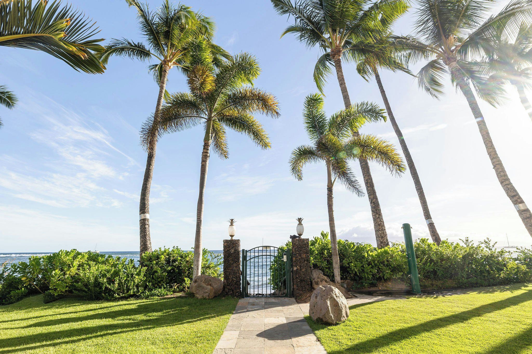 A pathway leading to a gated entrance with palm trees and a view of the ocean.