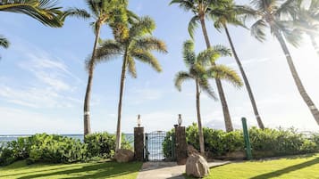 A pathway leading to a gated entrance with palm trees and a view of the ocean.