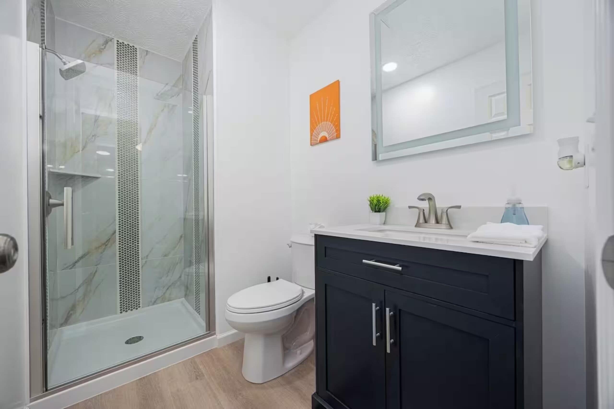 Une salle de bain avec une douche en verre, des toilettes, un lavabo avec un miroir et une petite plante en pot.
