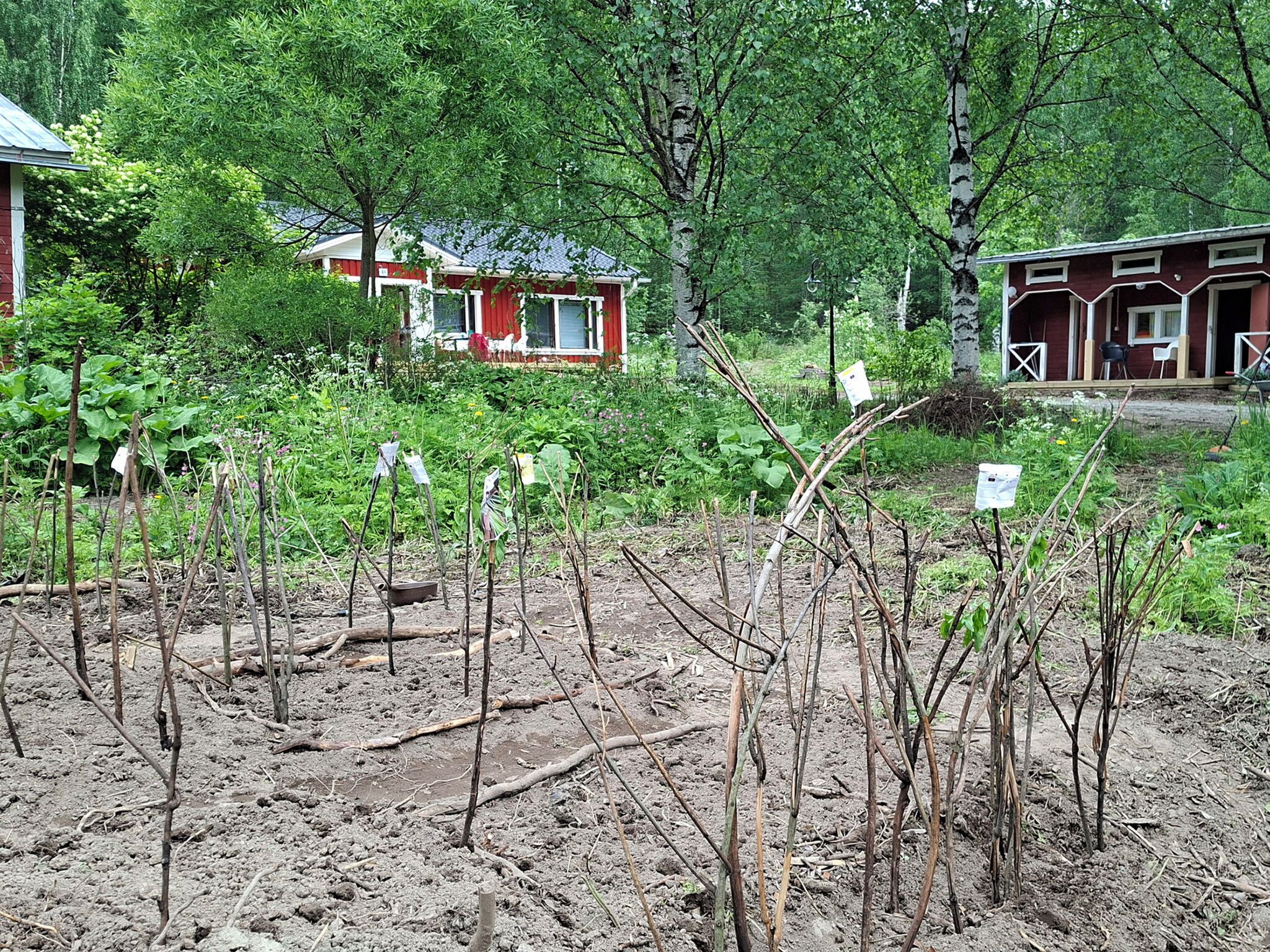 Overnattingsstedets uteområder