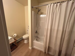 Hair dryer, towels, toilet paper - Indoor Heated Pool inside Spacious 4-bedroom house in serene Escanaba with AC (Escanaba)